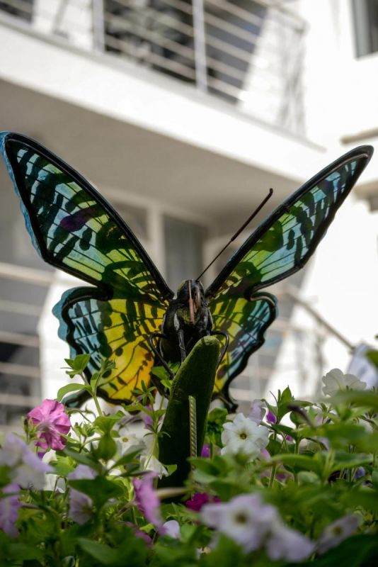 Санаторий "Золотой берег" / "Golden Coast"