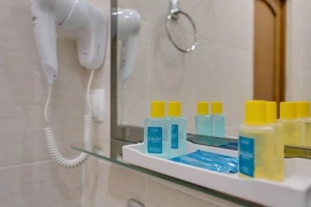 Люкс 2-местный 1-комнатный (Графский корпус)